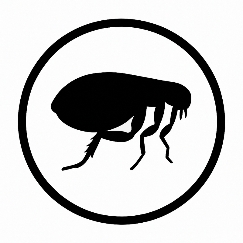 Flöhe